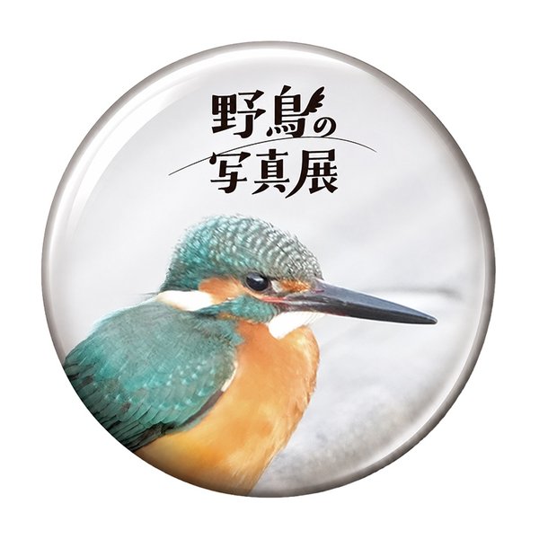 缶バッジ（カワセミ）