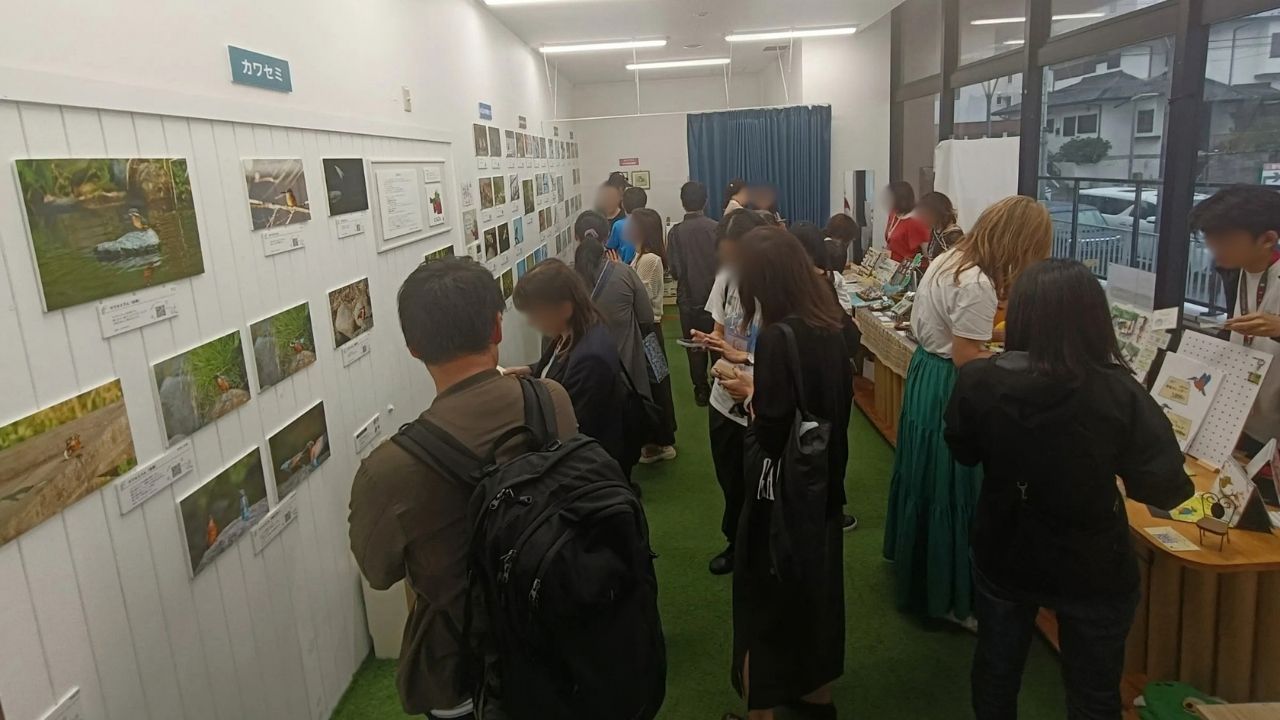 展示の様子