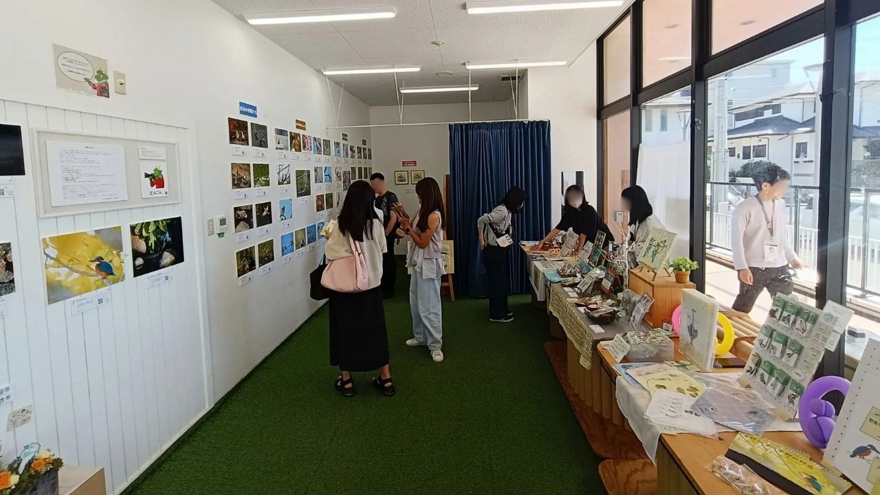 展示風景